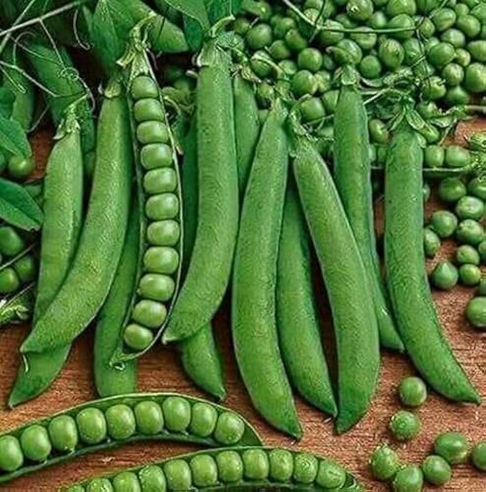 Pea BG-10