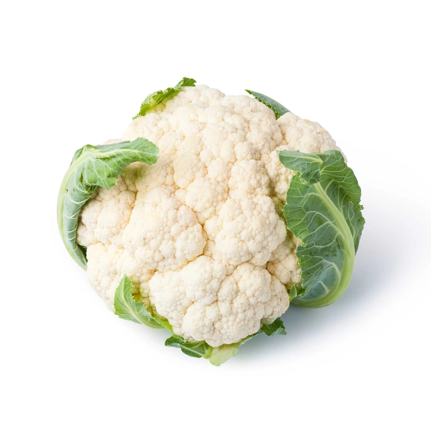 Cauliflower - Miracle (TC-821)