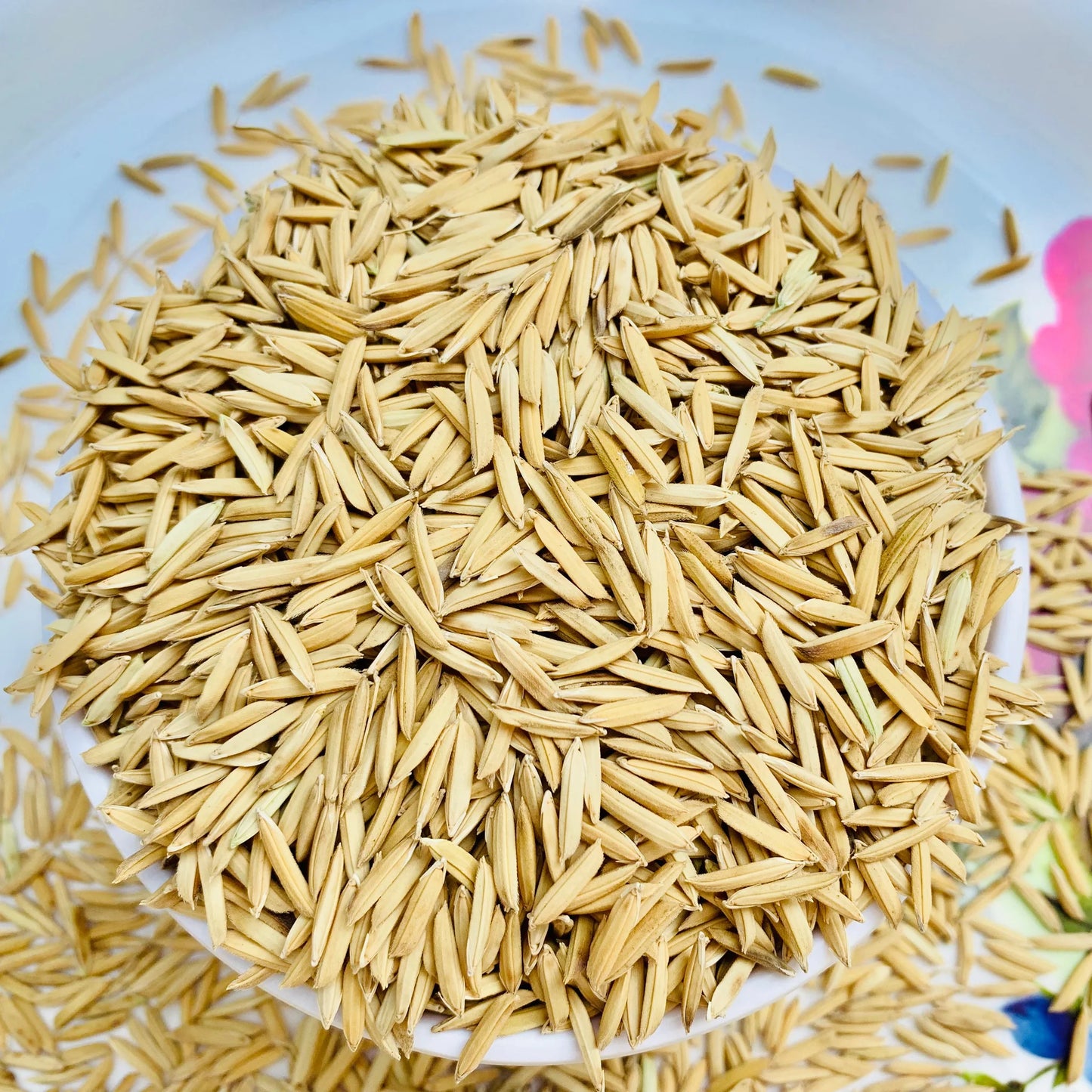 Paddy Seed 1121 Basmati Rice 3Kg