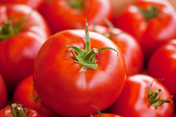 F1 Hybrid Tomato - Abhiraj
