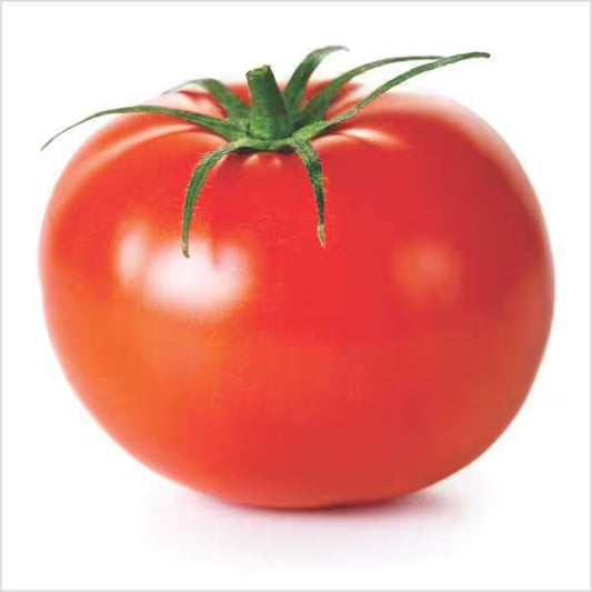F1 Hybrid Tomato - Abhiraj