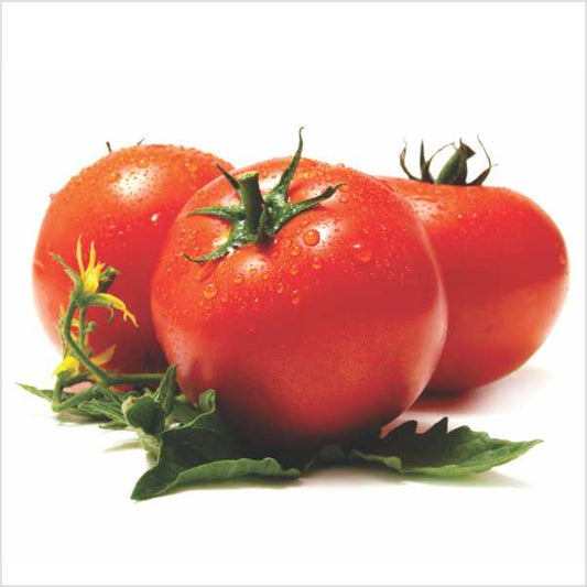 F1 Hybrid Tomato - Abhiraj