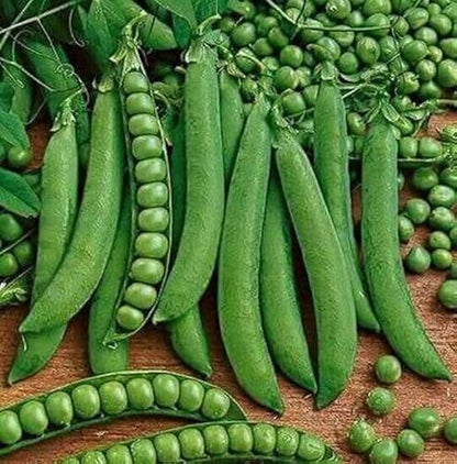 Pea BG-10