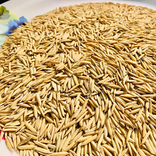 Paddy Seed 1121 Basmati Rice 3Kg