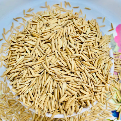 Paddy Seed 1121 Basmati Rice 3Kg