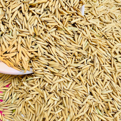 Paddy Seed 1121 Basmati Rice 3Kg