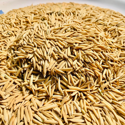 Paddy Seed 1121 Basmati Rice 3Kg