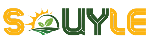 Souyle