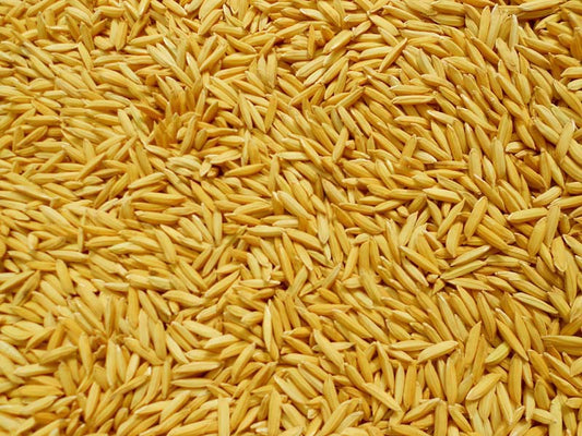 Paddy Seed 1121 Basmati Rice 3Kg