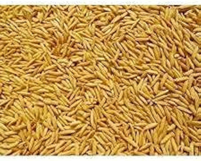 Paddy Seed 1692 Basmati Rice 3Kg